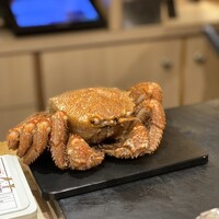 奥 - 