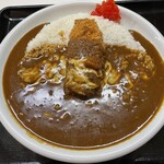 本家絶品！ 煮込みカツカレーの店 - アップ