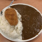 鳳林 - カツカレーの中（600g）1045円