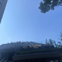 IL LUPINO PRIME - 
