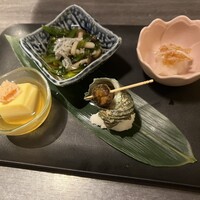 宇田川 紫扇 - 