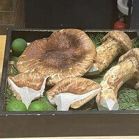 鮓 有無 - 
