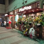 Pianta - 