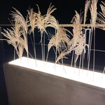 Il Sogno - 當夕陽西下，這樣的景色也會閃耀著美麗的光輝