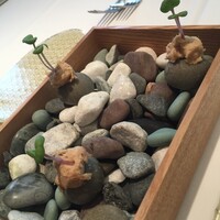 ルカンケ - 