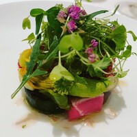 オトワ レストラン - 