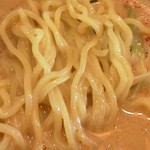 たんたん倶楽部 - こだわりたんたん麺　麺アップ