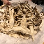 馳走 啐啄一十  - 