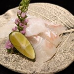 島津 - 朝〆た鮃