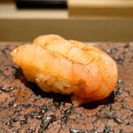 島津 - 縞海老の昆布〆