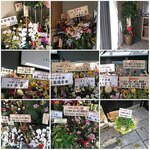 手打麺祭 かめ囲 - 