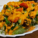 BIRYANI BAR TULSHI - Aコースのサラダ