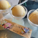 タベルナ スキマ - 