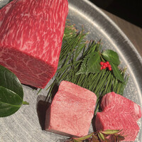 USHIGORO S. SHINJUKU - 