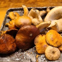 米増 - 天然茸
                    手前
                    薄茶:？？？
                    濃茶:花猪口(はないぐち)かな？
                    奥
                    白平:大銀杏茸(おおいちょうたけ)
                    茶丸:正源寺(しょうげんじ)