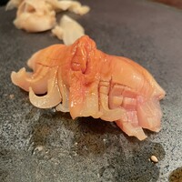 江戸心 山ぼうし - 