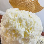 こひる庵 - 煌めく金箔〜鯛もなかも大好き