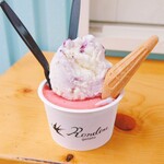 Rondine gelato - 