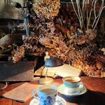 ソノダコーヒー - 