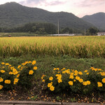 山楽 - 周囲の風景
