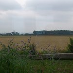 ほくほく庵 - 【2013年08月】店舗から外を臨む。