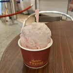 Gelato Firenze - 