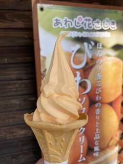 Awaji Hanasajiki - びわソフトクリーム