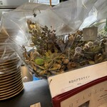 炭火イタリアン grigio - 