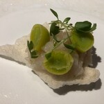 ル スプートニク - 2023/9