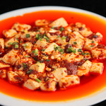 Sichuan style mapo tofu