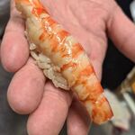 銀座 鮨 いな田 - 車海老