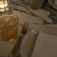 THE APOLLO - 