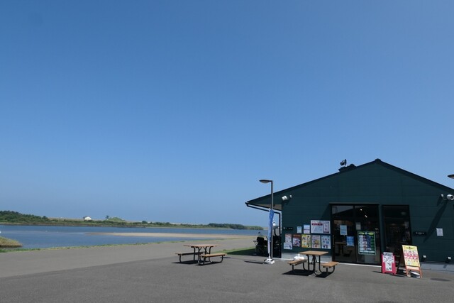 ゆり唐あげ トビウメ（ゆり唐あげ tobiume） - 美田園（からあげ）の写真
