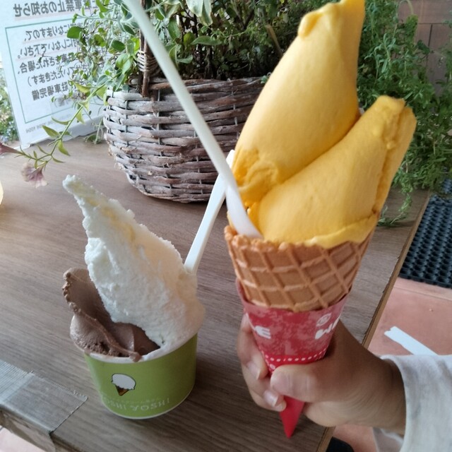YOSHI YOSHI （ヨシヨシ） - 発寒南/ジェラート・アイスクリーム