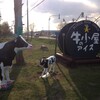 牛小屋のアイス