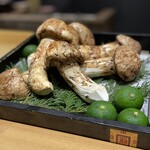 Sushi Yuumu - 秋の味覚　松茸