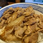 Yoshinoya - 具は少な目