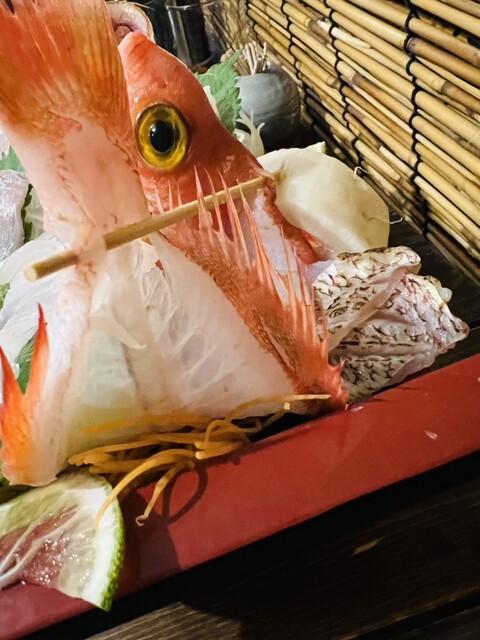 ひとつなぎの宿 ととりば （TOTORIBA） - 伊豆高原/旅館・民宿 | 食べログ