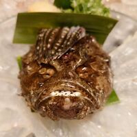 日本料理 一扇 - おこぜ 2023年9月
