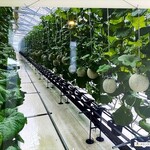 レストラン太平山 - 