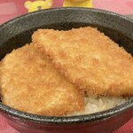 Tarekatsudon No Omise - 名物たれかつ丼2枚　590円（税込）　※寄ってみた