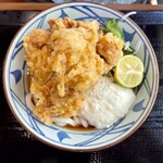 Marugame Seimen - タル鶏天ぶっかけ 冷 並盛