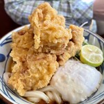 Marugame Seimen - タル鶏天ぶっかけ 冷 並盛