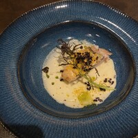 オッジ ダルマット 西麻布店 - 