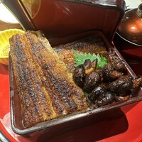 炭焼 うな富士 有楽町店 - 