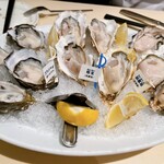 Oyster Bar ジャックポット - 