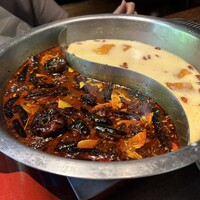 雪梅花 菜根譚 - 