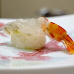 鮨 井上 - 車海老