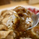 スタミナカレーの店バーグ - スタミナカレー・焼き（800円）＋中盛（170円）