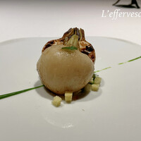 レフェルヴェソンス - 